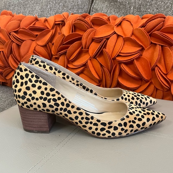 Sole Society Andorra Leopard Calf Hair 